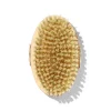 Brosse à Sec Corps