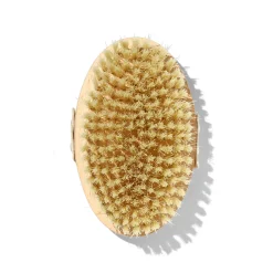 Brosse à Sec Corps