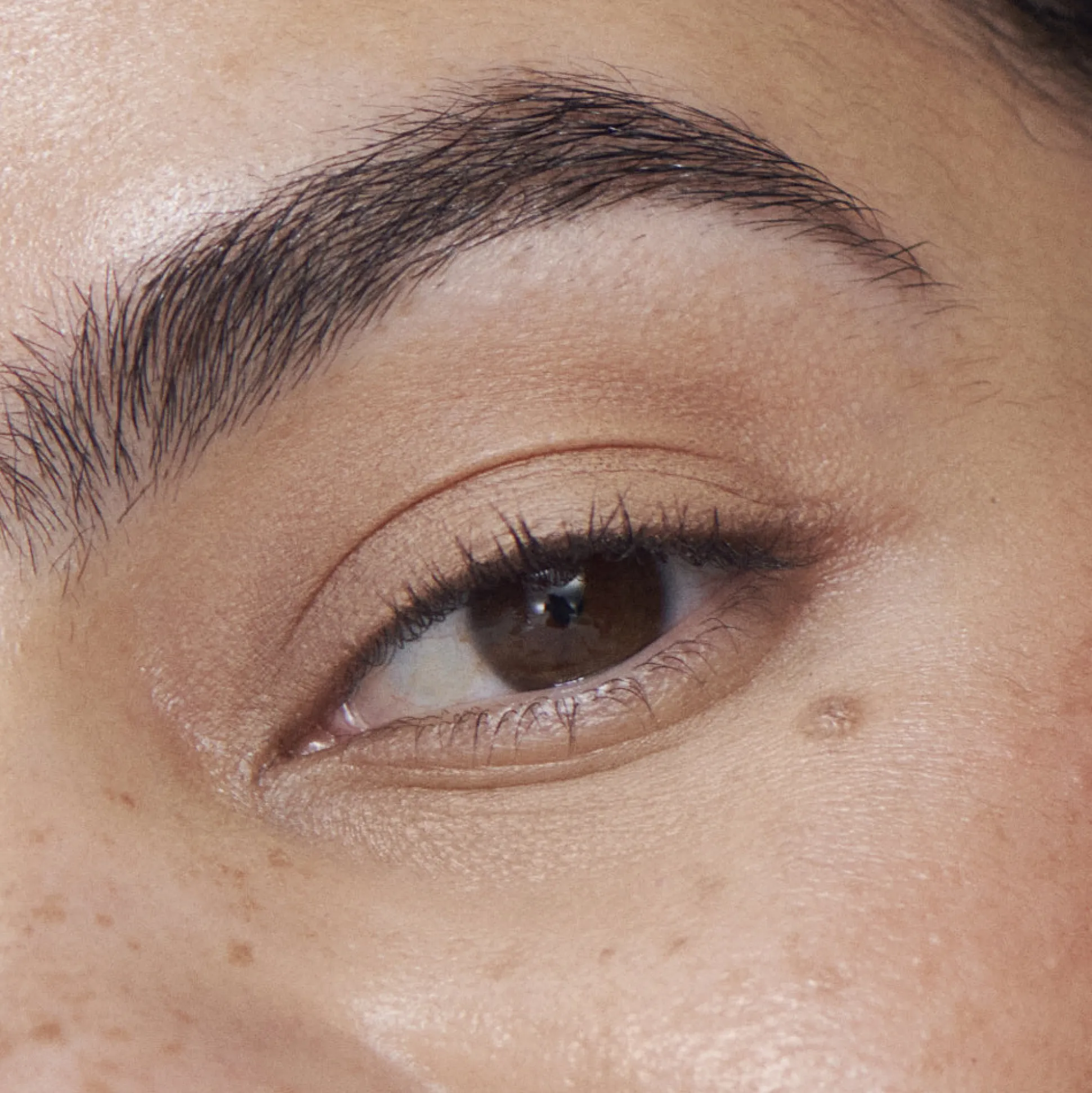 Liquid Powder Matte Eye Tint Fard à Paupières Crème Mat