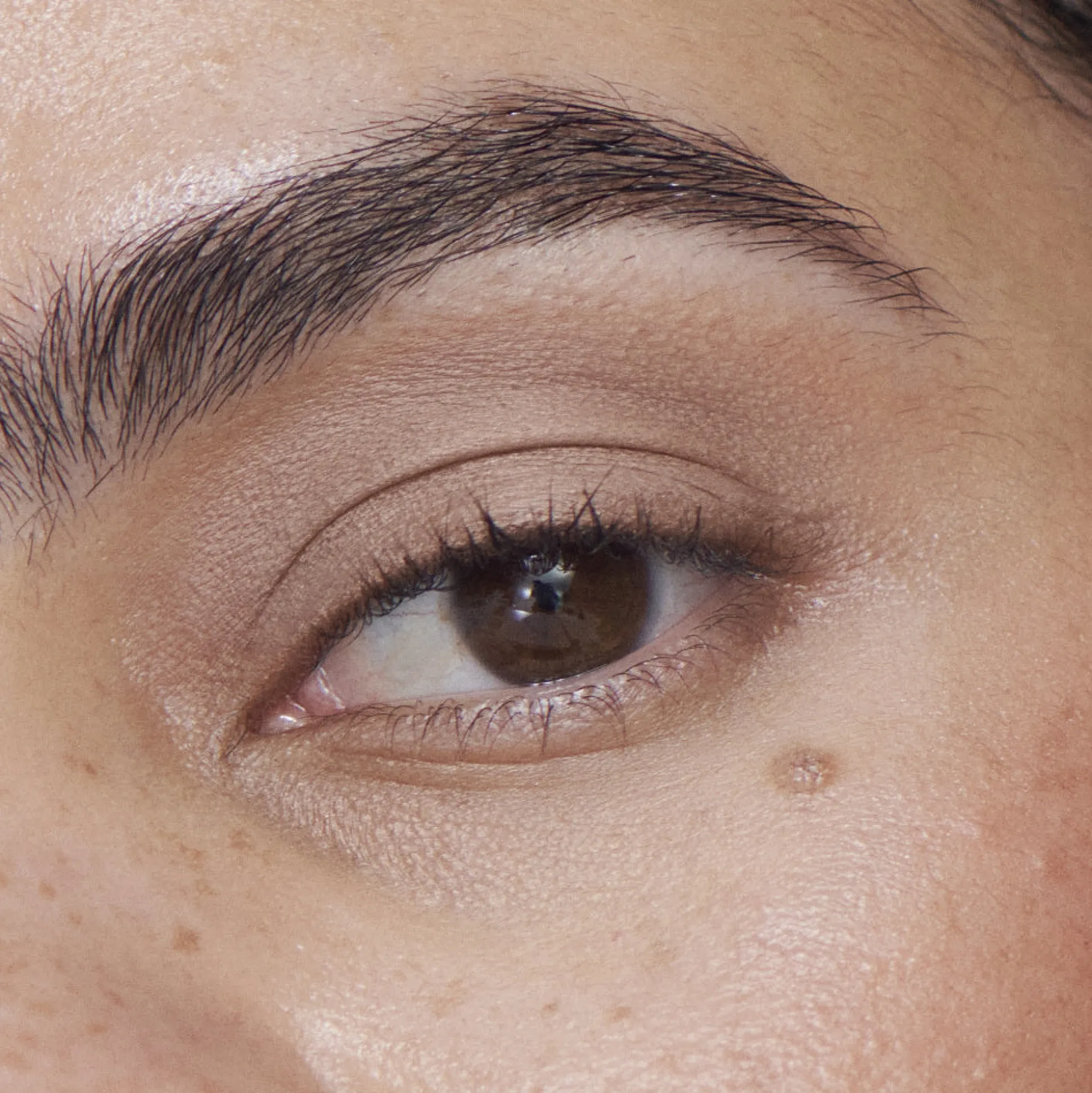 Liquid Powder Matte Eye Tint Fard à Paupières Crème Mat