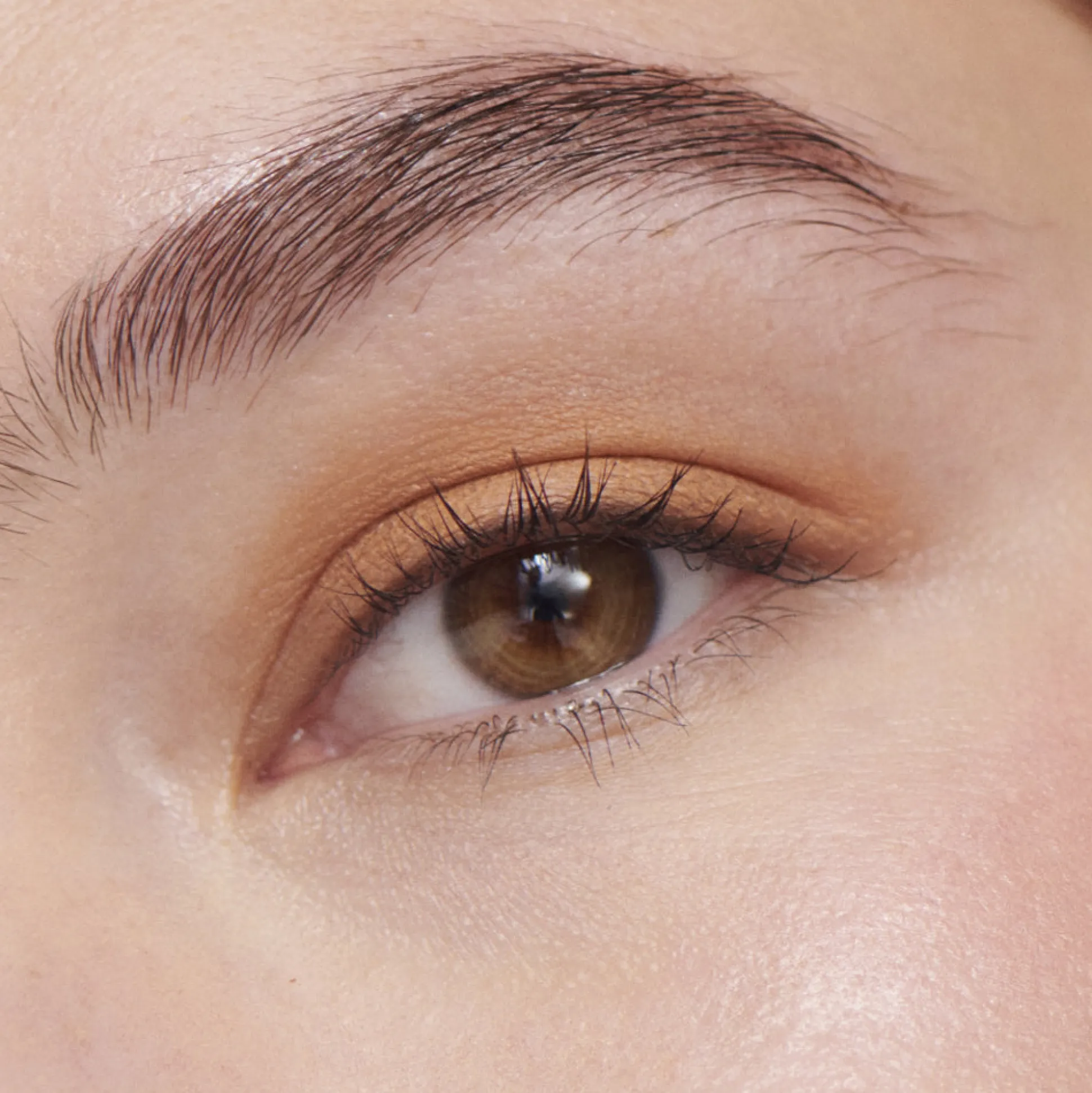 Liquid Powder Matte Eye Tint Fard à Paupières Crème Mat