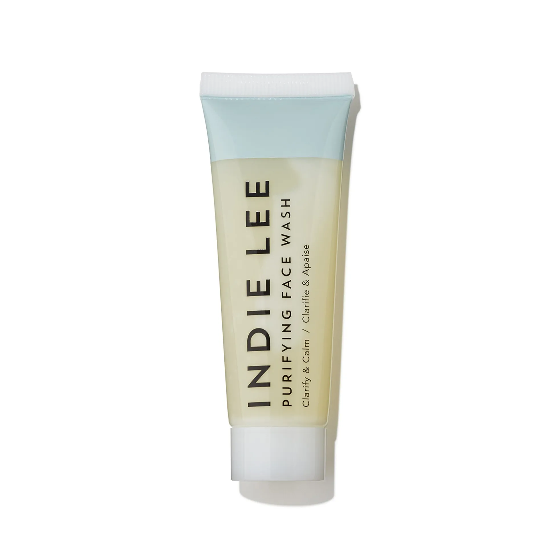 Purifying Face Wash Nettoyant Visage Purifiant