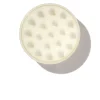 Scalp Masajeador Brosse Massante Cuir Chevelu
