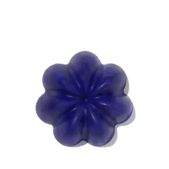 Shampoing Violet Solide